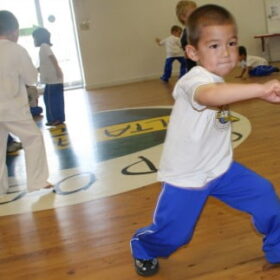 capovam boy practice Brazilian martial art