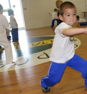 capovam boy practice Brazilian martial art